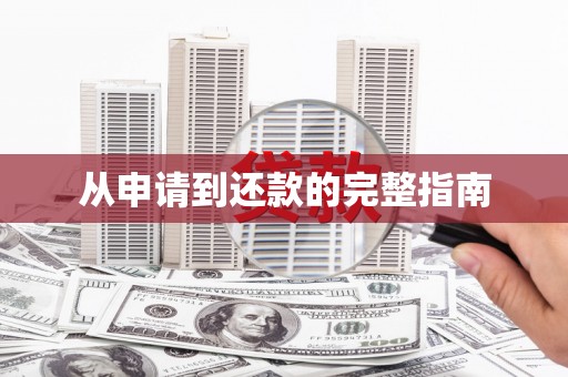东西湖从申请到还款的完整指南