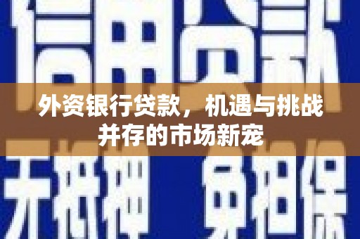 东西湖外资银行贷款，机遇与挑战并存的市场新宠