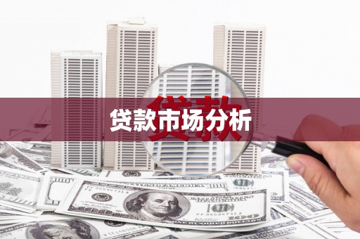 东西湖贷款市场分析
