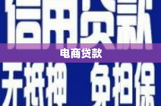东西湖电商贷款