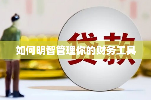 东西湖如何明智管理你的财务工具