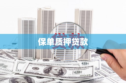 东西湖保单质押贷款