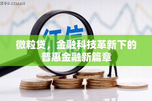 东西湖微粒贷，金融科技革新下的普惠金融新篇章