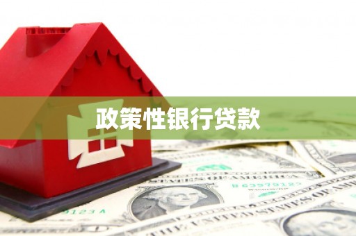 东西湖政策性银行贷款
