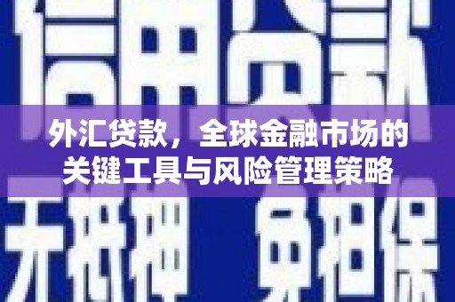 东西湖外汇贷款，全球金融市场的关键工具与风险管理策略