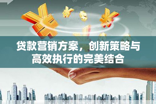 东西湖贷款营销方案，创新策略与高效执行的完美结合