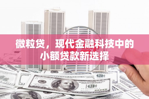 东西湖微粒贷，现代金融科技中的小额贷款新选择