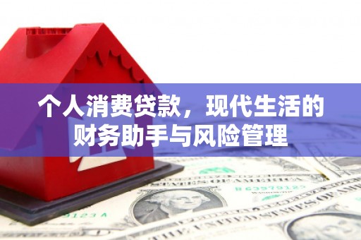 东西湖个人消费贷款，现代生活的财务助手与风险管理