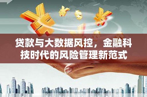 东西湖贷款与大数据风控，金融科技时代的风险管理新范式