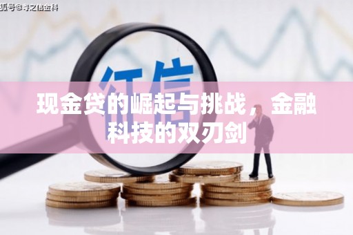 东西湖现金贷的崛起与挑战，金融科技的双刃剑