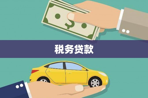 东西湖税务贷款