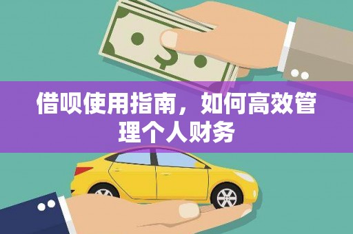 东西湖借呗使用指南，如何高效管理个人财务