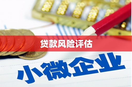 东西湖贷款风险评估