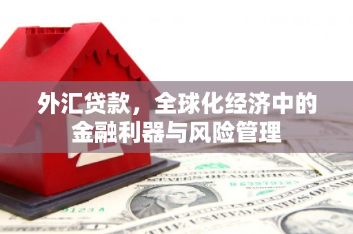 东西湖外汇贷款，全球化经济中的金融利器与风险管理