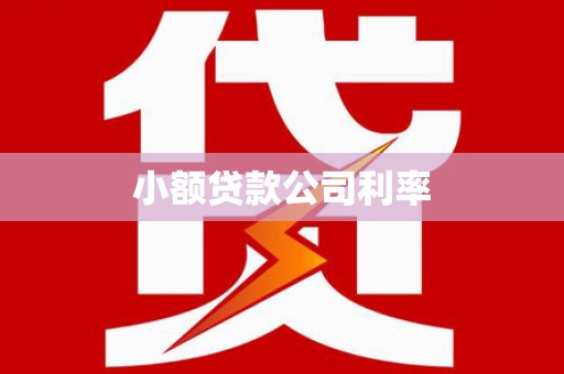 东西湖小额贷款公司利率