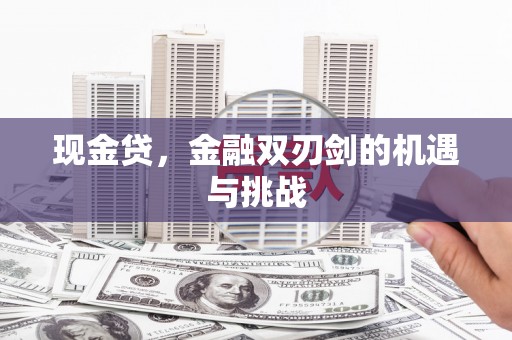 东西湖现金贷，金融双刃剑的机遇与挑战