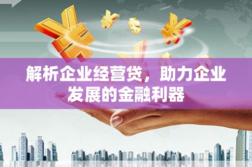 东西湖解析企业经营贷，助力企业发展的金融利器