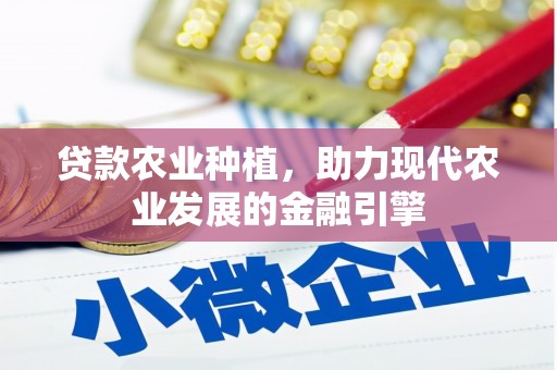 东西湖贷款农业种植，助力现代农业发展的金融引擎