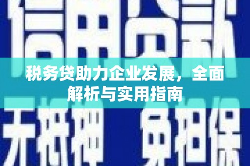 东西湖税务贷助力企业发展，全面解析与实用指南