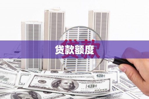 东西湖贷款额度