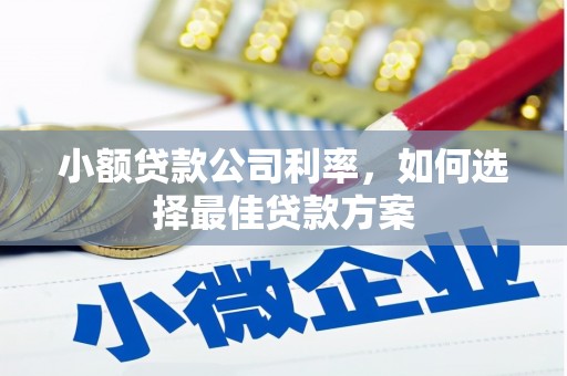东西湖小额贷款公司利率，如何选择最佳贷款方案