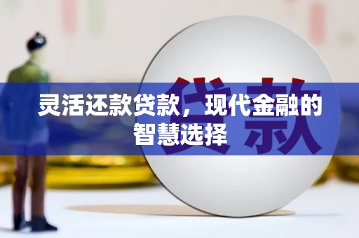 东西湖灵活还款贷款，现代金融的智慧选择