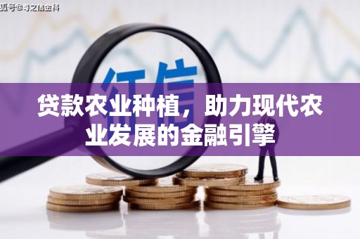 东西湖贷款农业种植，助力现代农业发展的金融引擎