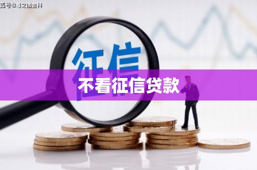 东西湖不看征信贷款