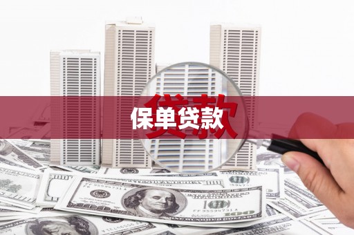 东西湖保单贷款