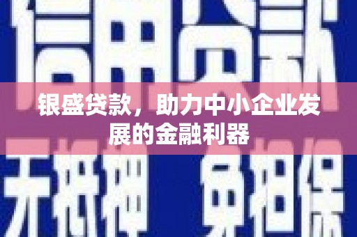 东西湖银盛贷款，助力中小企业发展的金融利器