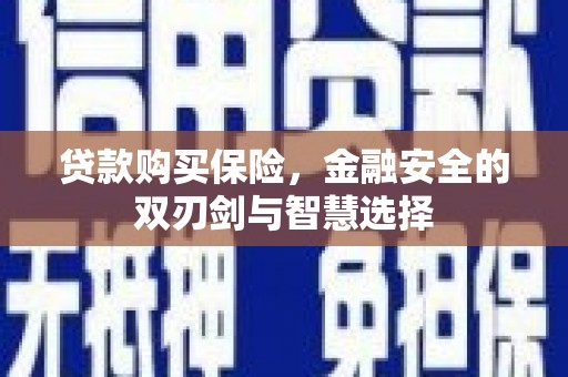 东西湖贷款购买保险，金融安全的双刃剑与智慧选择
