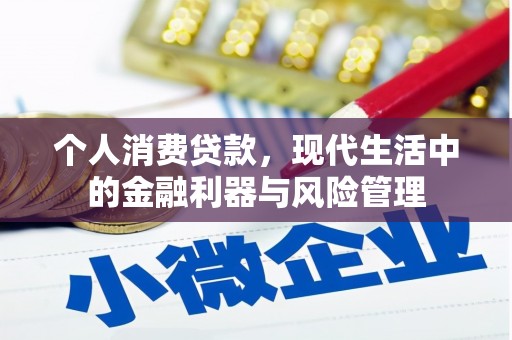 东西湖个人消费贷款，现代生活中的金融利器与风险管理