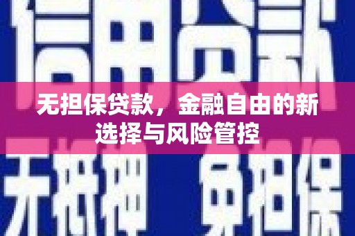 东西湖无担保贷款，金融自由的新选择与风险管控