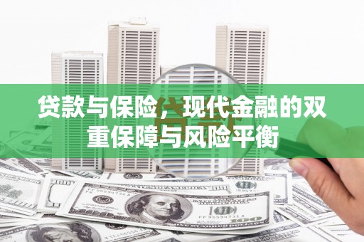 东西湖贷款与保险，现代金融的双重保障与风险平衡