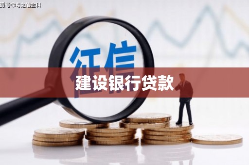 东西湖建设银行贷款