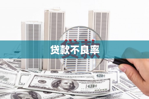 东西湖贷款不良率