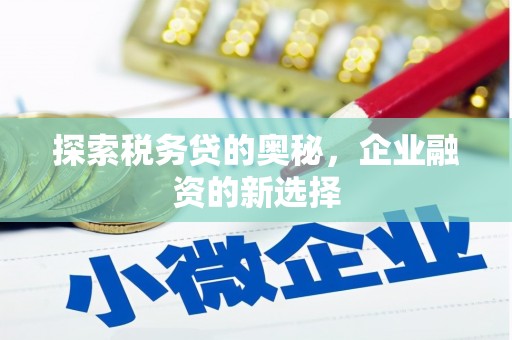 东西湖探索税务贷的奥秘，企业融资的新选择