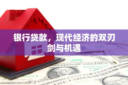东西湖银行贷款，现代经济的双刃剑与机遇