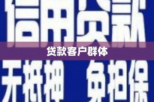 东西湖贷款客户群体