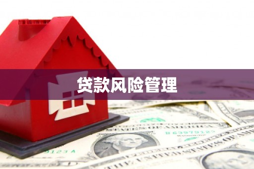 东西湖贷款风险管理