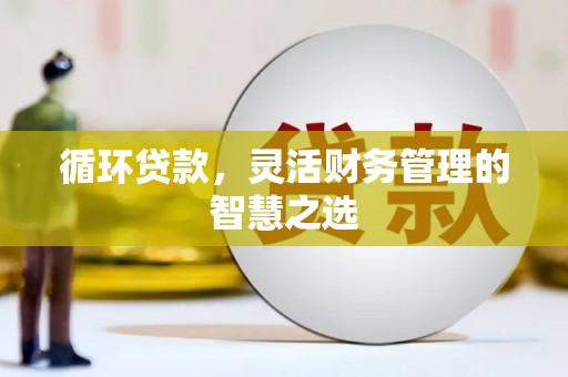 东西湖循环贷款，灵活财务管理的智慧之选