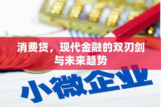 东西湖消费贷，现代金融的双刃剑与未来趋势