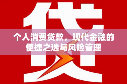 东西湖个人消费贷款，现代金融的便捷之选与风险管理