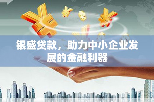 东西湖银盛贷款，助力中小企业发展的金融利器