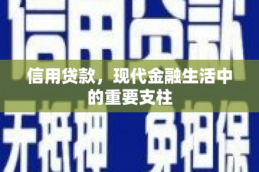 东西湖信用贷款，现代金融生活中的重要支柱