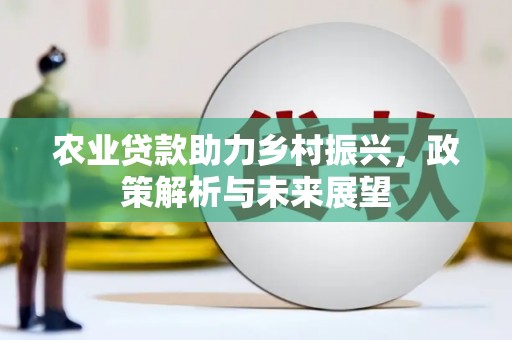 东西湖农业贷款助力乡村振兴，政策解析与未来展望