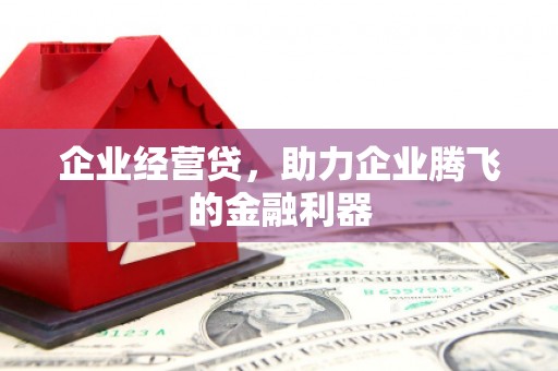 东西湖企业经营贷，助力企业腾飞的金融利器