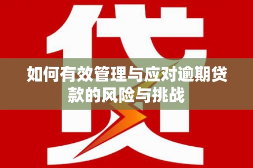 东西湖如何有效管理与应对逾期贷款的风险与挑战