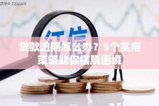 东西湖贷款逾期怎么办？5个实用策略助你摆脱困境