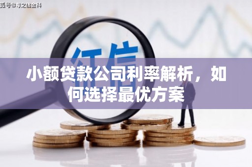 东西湖小额贷款公司利率解析，如何选择最优方案